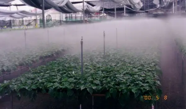 tecnologia de nebulización