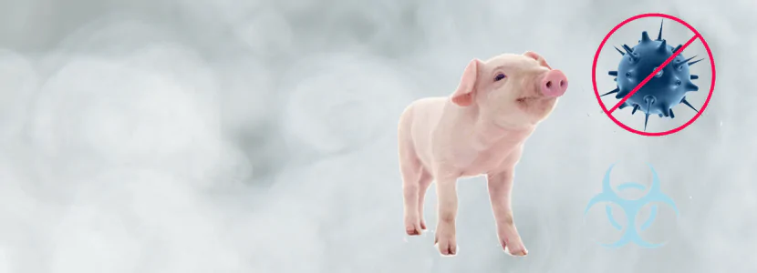 tecnología de desinfección