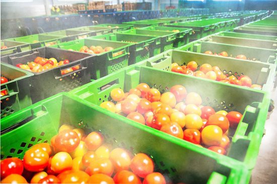 tecnologia de nebulización